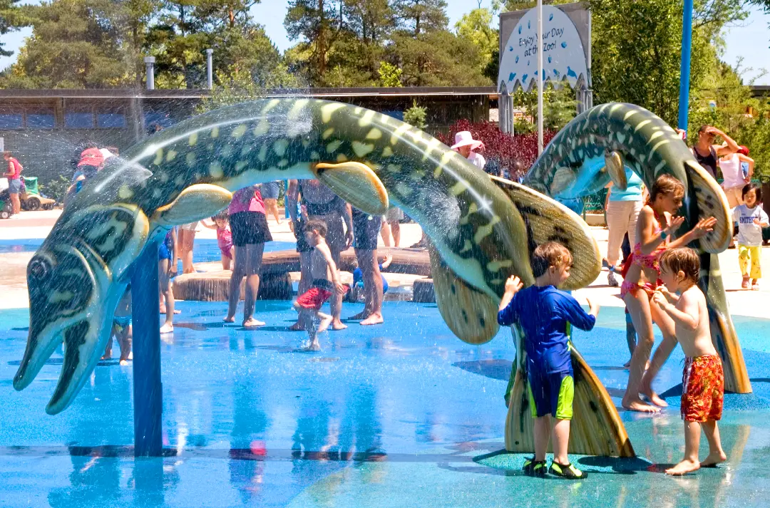 Kids playing in Splash Island