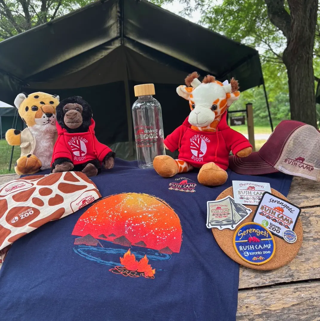 A t-shirt, carious plush and badges laying on a wood bench at Bush Camp